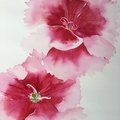 Pinks Flowers 1