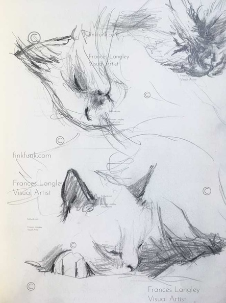 Sketch_Cats.jpg