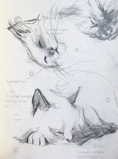 Sketch Cats